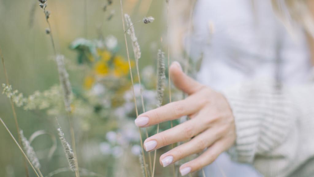 Welche Wirkung hat Maca?