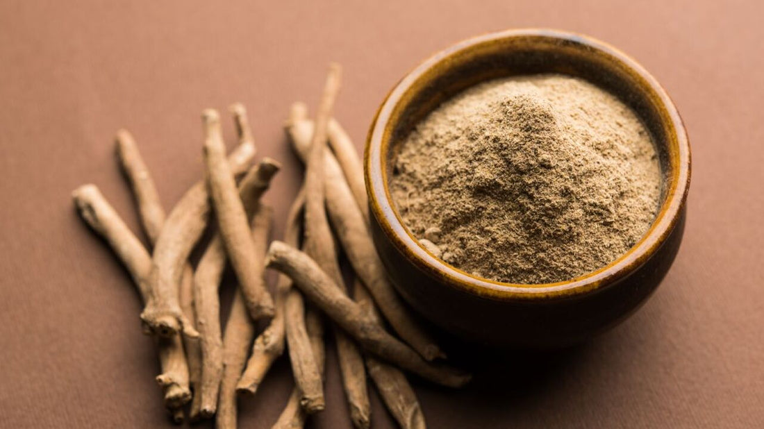 Ashwagandha erklärt: Antworten auf die häufigsten Fragen