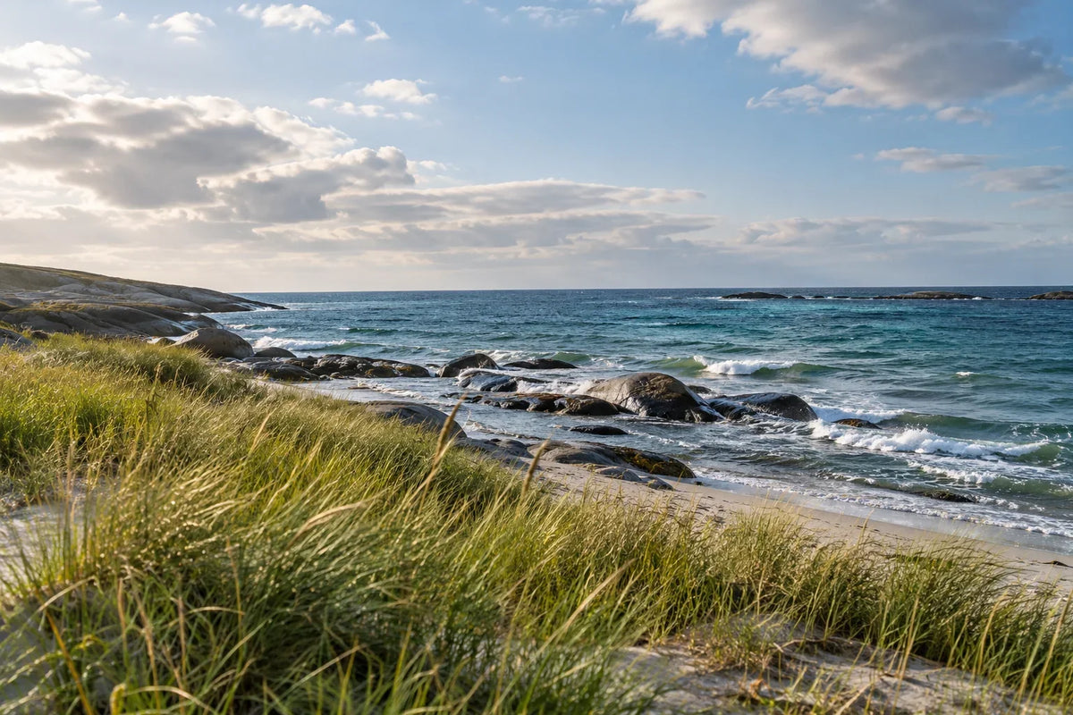 Ruhige Küstenlandschaft mit Dünengras, Felsen und blaugrünem Meer – KI-generiertes Symbolbild.