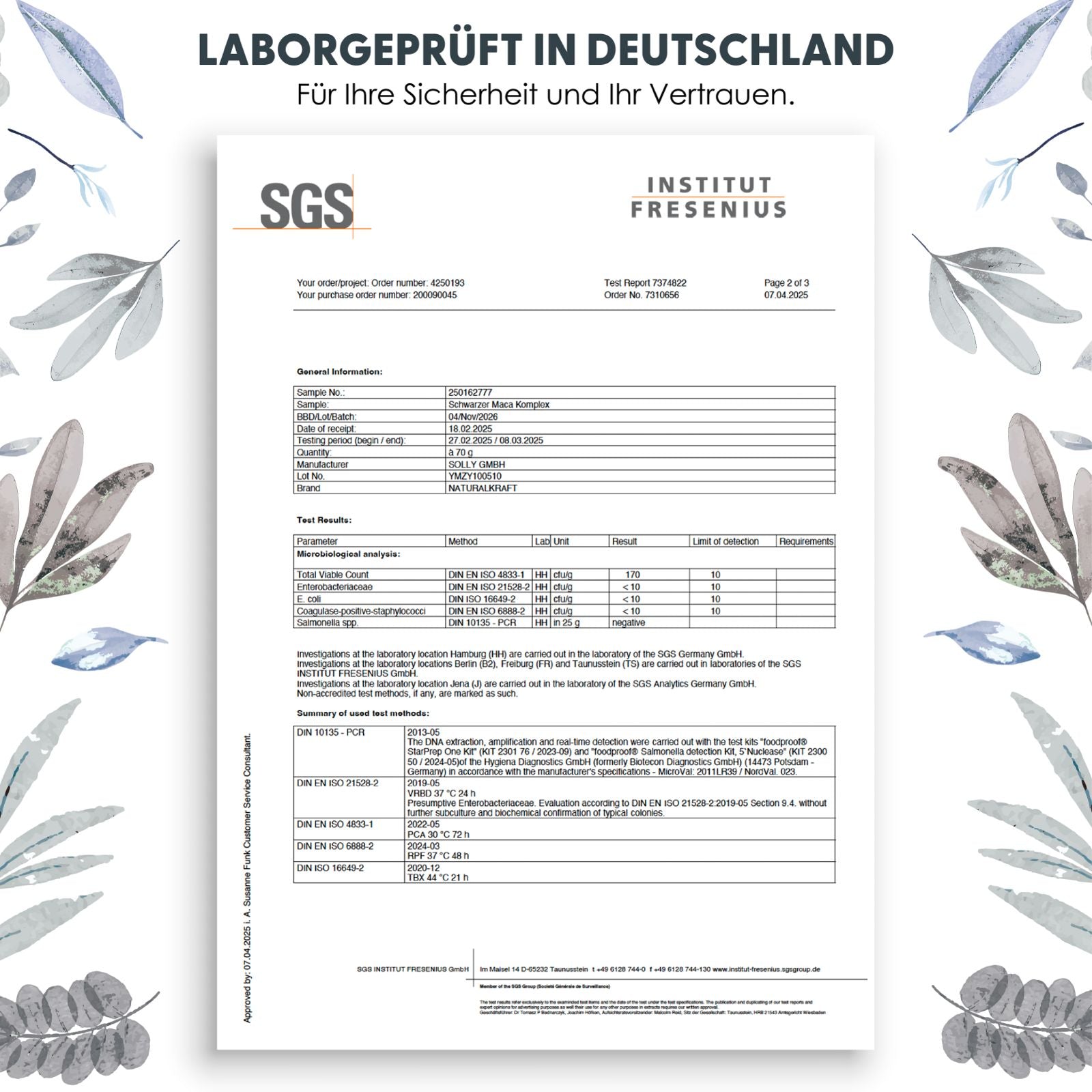 Schwarzer Maca Komplex Kapseln