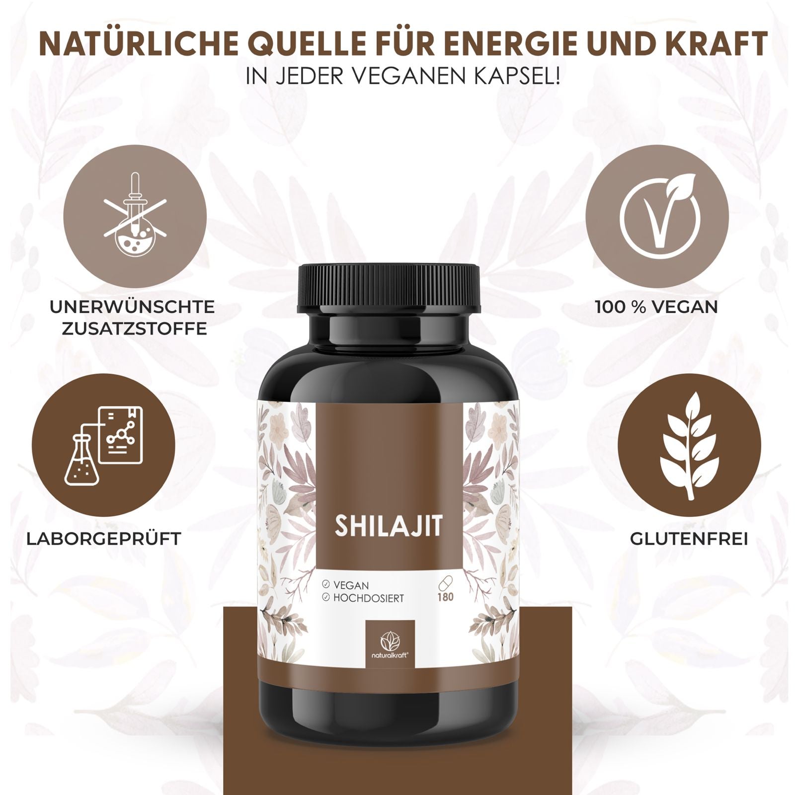 Shilajit Kapseln