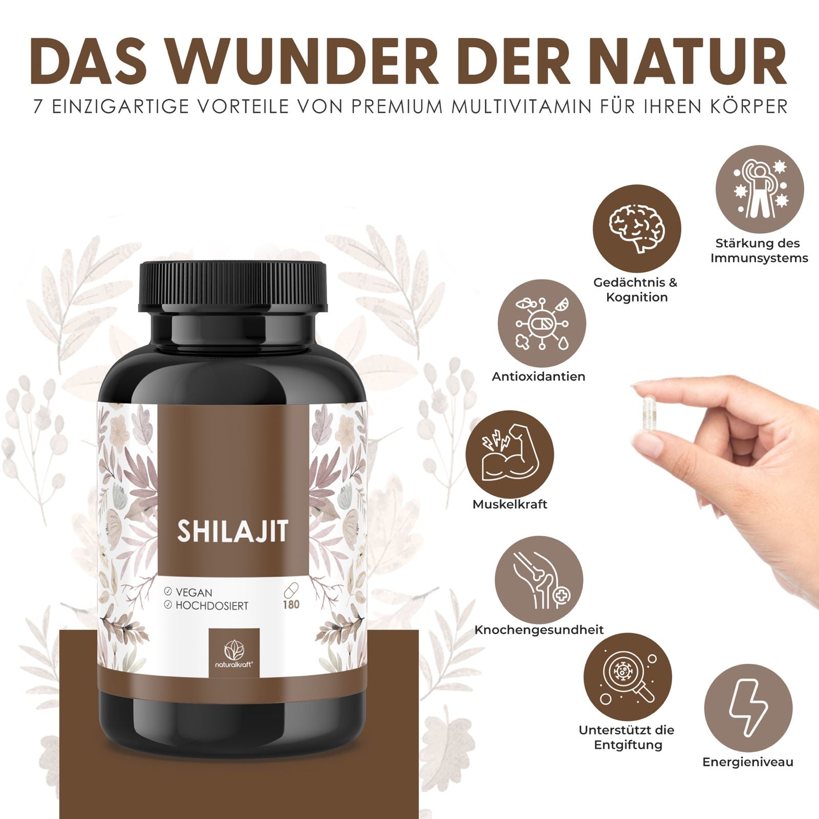 Shilajit Kapseln